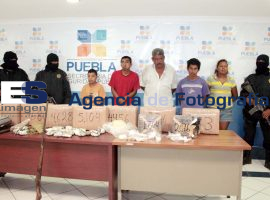 Asegura la SSPE 5 personas con 48 kilos de mariguana - ES imagen agencia de fotografía