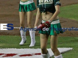 Beisbol Pericos de Puebla Vs Broncos de Reynosa - ES imagen agencia de fotografía