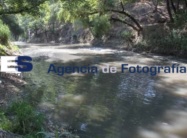 Presentan programa ECOGOB - ES imagen agencia de fotografía