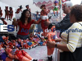 Mulas y Panzones - ES imagen agencia de fotografía