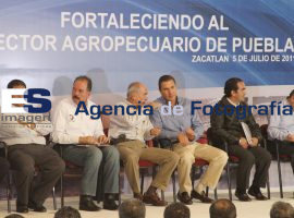 Entrega Moreno Valle apoyos al campo en Zacatlán - ES imagen agencia de fotografía