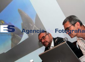 Recorrido Exposición Historias de A. Obras de la Colección Jumex - ES imagen agencia de fotografía