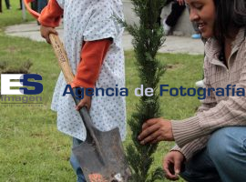 Reforestación Hospital del Niño Poblano - ES imagen agencia de fotografía