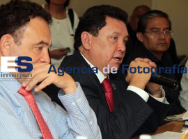 Comisión de Seguridad Pública Congreso - ES imagen agencia de fotografía