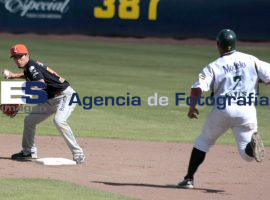 Pericos de Puebla - ES imagen agencia de fotografía
