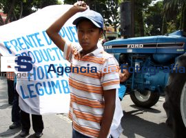 Manifestación de Productores de Hortalizas y Legumbres - ES imagen agencia de fotografía