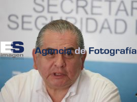 SSP aseguró 2 hectáreas de un sembradío de mariguana - ES imagen agencia de fotografía