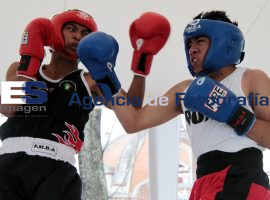 Torneo de Box de Barrios en el parque del Carmen - ES imagen agencia de fotografía