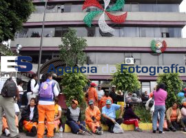 Plantón de Naranjitas - ES imagen agencia de fotografía