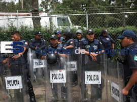 Ayuntamiento recupera adoquines en vivero municipal - ES imagen agencia de fotografía