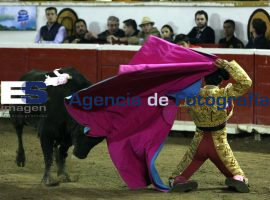 Corrida de toros en beneficio del DIF - ES imagen agencia de fotografía