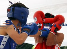 Final Torneo de Box de Barrios - ES imagen agencia de fotografía