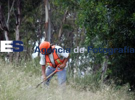 Limpieza de Áreas Verdes de los Fuertes - ES imagen agencia de fotografía