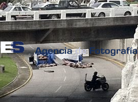 Arrojan Cadaveres en Bulevard Veracruz-Boca del Río - ES imagen agencia de fotografía