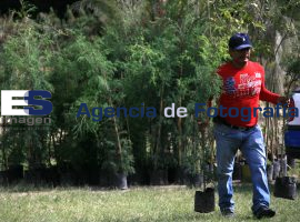 Reforestación Parque Reserva Atlixcayotl - ES imagen agencia de fotografía