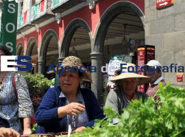 Manifestación Comerciantes de Hortalizas - ES imagen agencia de fotografía