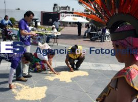 Sin Maíz No Hay País - ES imagen agencia de fotografía