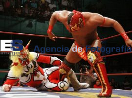Lucha Libre Arena Puebla  - ES imagen agencia de fotografía