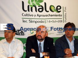 Primer Simposio del árbol Linaloe - ES imagen agencia de fotografía
