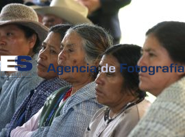 DIF estatal y municipal inauguraron CECADE en Canoa - ES imagen agencia de fotografía