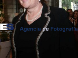 Segundo Informe de Augusta Sánchez Díaz de Rivera - ES imagen agencia de fotografía
