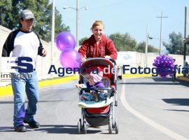 Programa Mil Calles, Bosques de Manzanilla - ES imagen agencia de fotografía