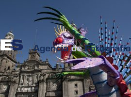 Desfile de Alebrijes México D.F. - ES imagen agencia de fotografía