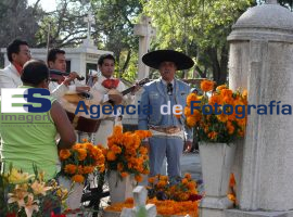 Panteón Municipal - ES imagen agencia de fotografía