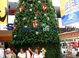 Se adelantan decorativos navideños - ES imagen agencia de fotografía