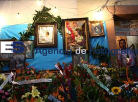 Fiesta y fervor en el día de Santa Cecilia - ES imagen agencia de fotografía