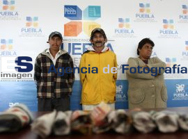 Policia estatal asegura a banda de narcomenudistas y ladrones de autopartes - ES imagen agencia de fotografía