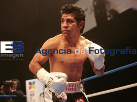 Sammy Gutti pierde el campeonato de la WBC - ES imagen agencia de fotografía