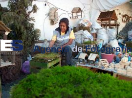 Comercio de productos navideños  - ES imagen agencia de fotografía