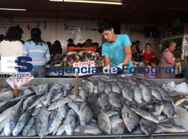 En mercados aumenta la venta de pescados y mariscos - ES imagen agencia de fotografía