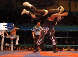 Místico y Rey Bucanero  - ES imagen agencia de fotografía