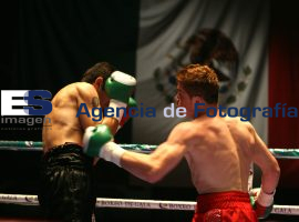 Canelo vs Gitano - ES imagen agencia de fotografía