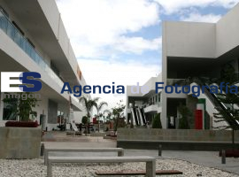Complejo Cultural Universitario - ES imagen agencia de fotografía