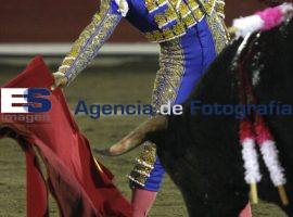 Corrida de Toros - ES imagen agencia de fotografía
