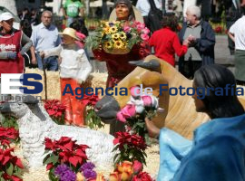 Colocación Nacimiento Zócalo de Puebla - ES imagen agencia de fotografía