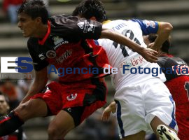 Lobos Vs Xoloscuintles - ES imagen agencia de fotografía