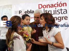 dona sangre - ES imagen agencia de fotografía