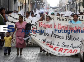 Loxicas - ES imagen agencia de fotografía