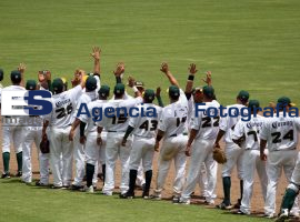 Pericos - ES imagen agencia de fotografía