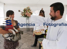 Bendicen animales en iglesia de San Antonio - ES imagen agencia de fotografía