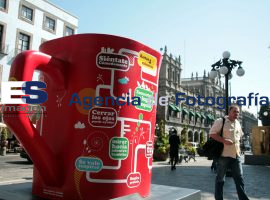 Tasas en el zócalo de la ciudad - ES imagen agencia de fotografía