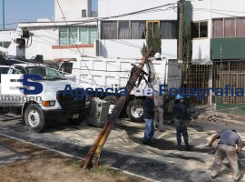 Tiran poste de la CFE - ES imagen agencia de fotografía
