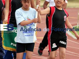 Abanderamiento equipo juegos paralímpicos - ES imagen agencia de fotografía