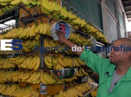 Básculas en la central de abastos - ES imagen agencia de fotografía