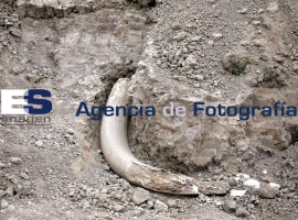 Encuentran restos de animal prehistórico Chignahuapan - ES imagen agencia de fotografía