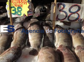 Inicia la venta de pescados y mariscos por cuaresma  - ES imagen agencia de fotografía